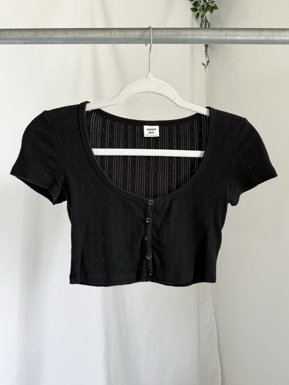 Sunday best pointelle tee